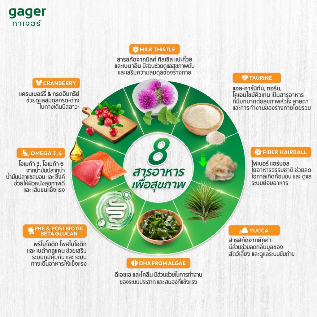 (ยกลัง10ถุง) Gager อาหารแมว กาเจอร์ เสริมวิตามิน เพื่อสุขภาพ พัฒนาโดยสัตวแพทย์ (1กิโล10ถุงเลือกสูตร) - รูปที่ 4