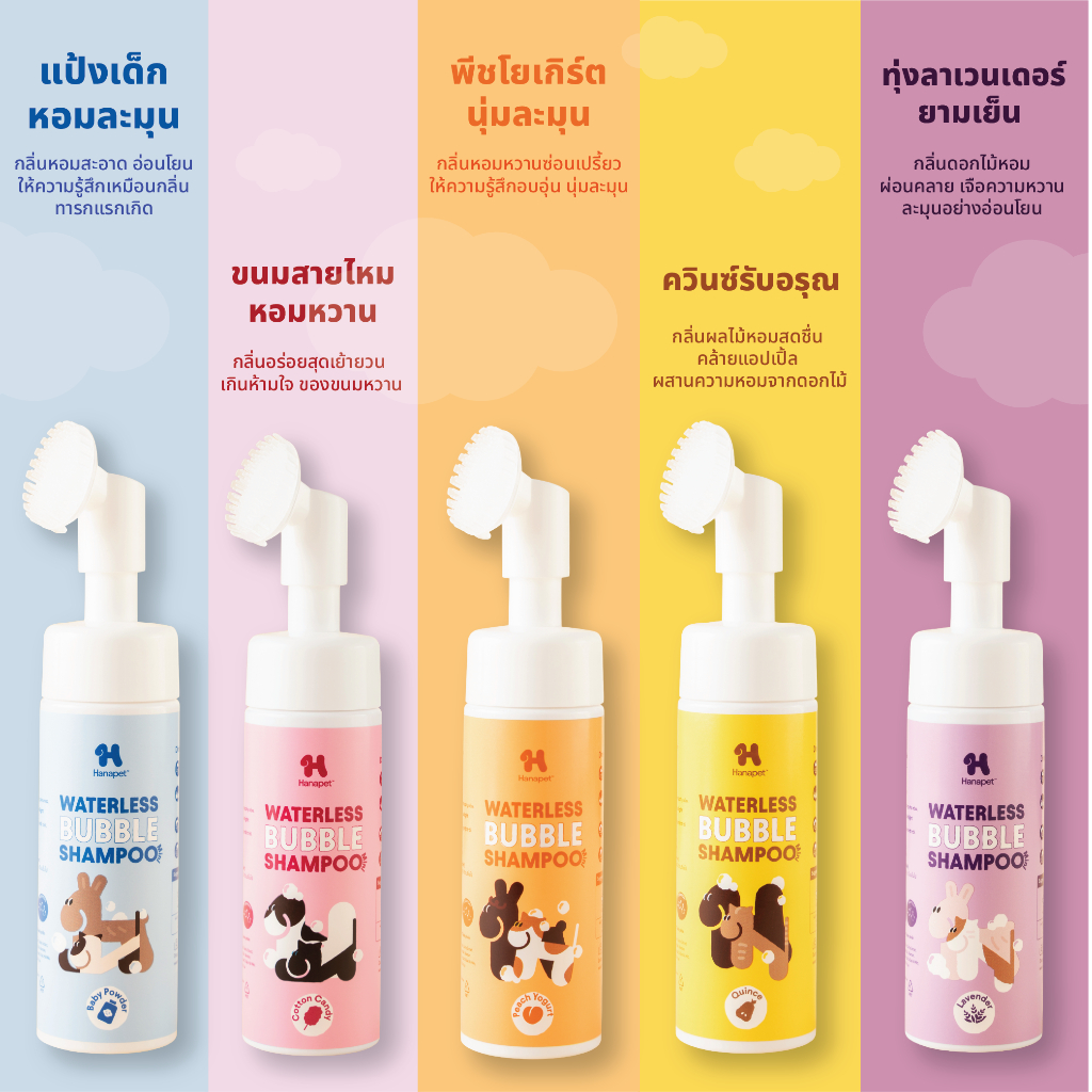 รูปภาพ 7