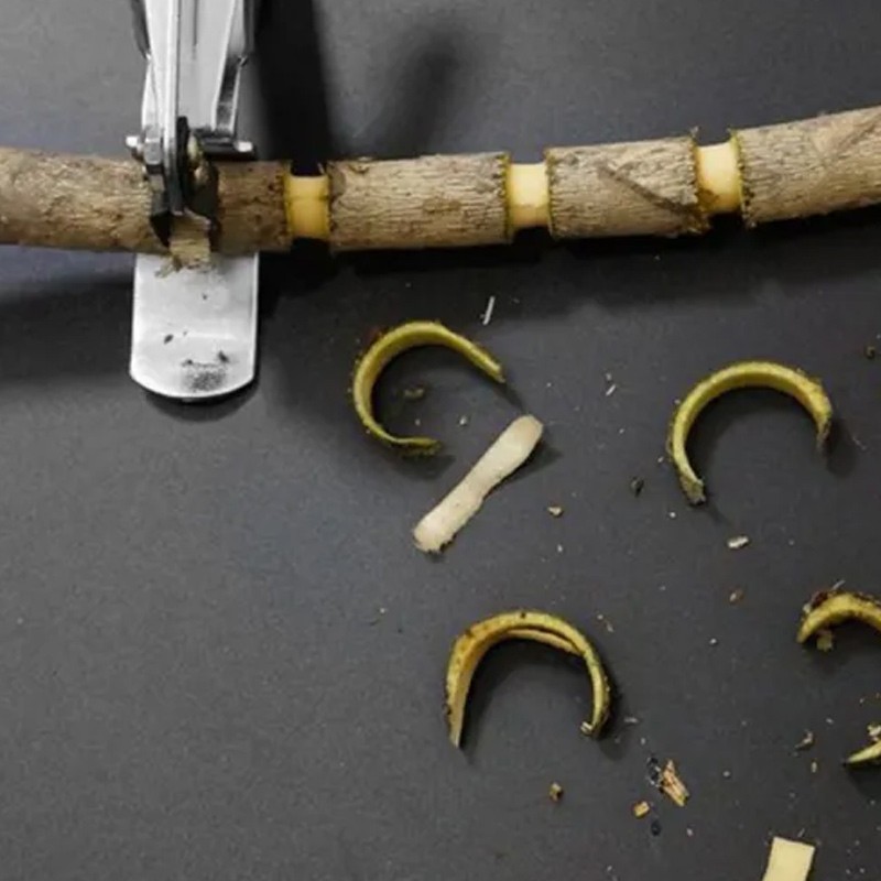 TH-Living มีดตอนกิ่ง คีมตอนกิ่ง 2 ใบมีด ใบมีดตัดและปอกเปลือกได้ในครั้งเดียว ใช้กับกิ่งไม้ 2-6 ซม. ใช้ง่าย ไม่ต้องใช้แรง - รูปที่ 7