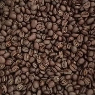 เมล็ดกาแฟคั่วใหม่( Arabica100%เกรดA)คั่วกลาง-กลางค่อนเข้ม ปางขอน #หอมกลมกล่อมสดชื่น