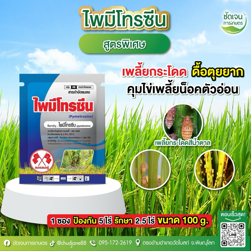 ไพมีโทรซีน สูตรพรีเมียม ขนาด100 กรัม 1 ซอง 5 ไร่ เพลี้ยกระโดดสีน้ำตาล ในนาข้าว