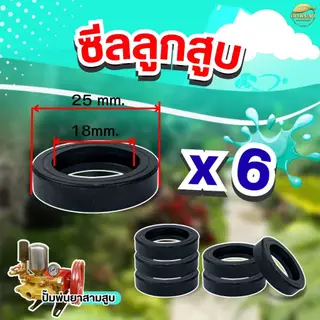 ชุดซ่อมปั้มพ่นยาสามสูบ ขนาด6หุน ครบชุด ทั้งหมด 25 ชิ้น