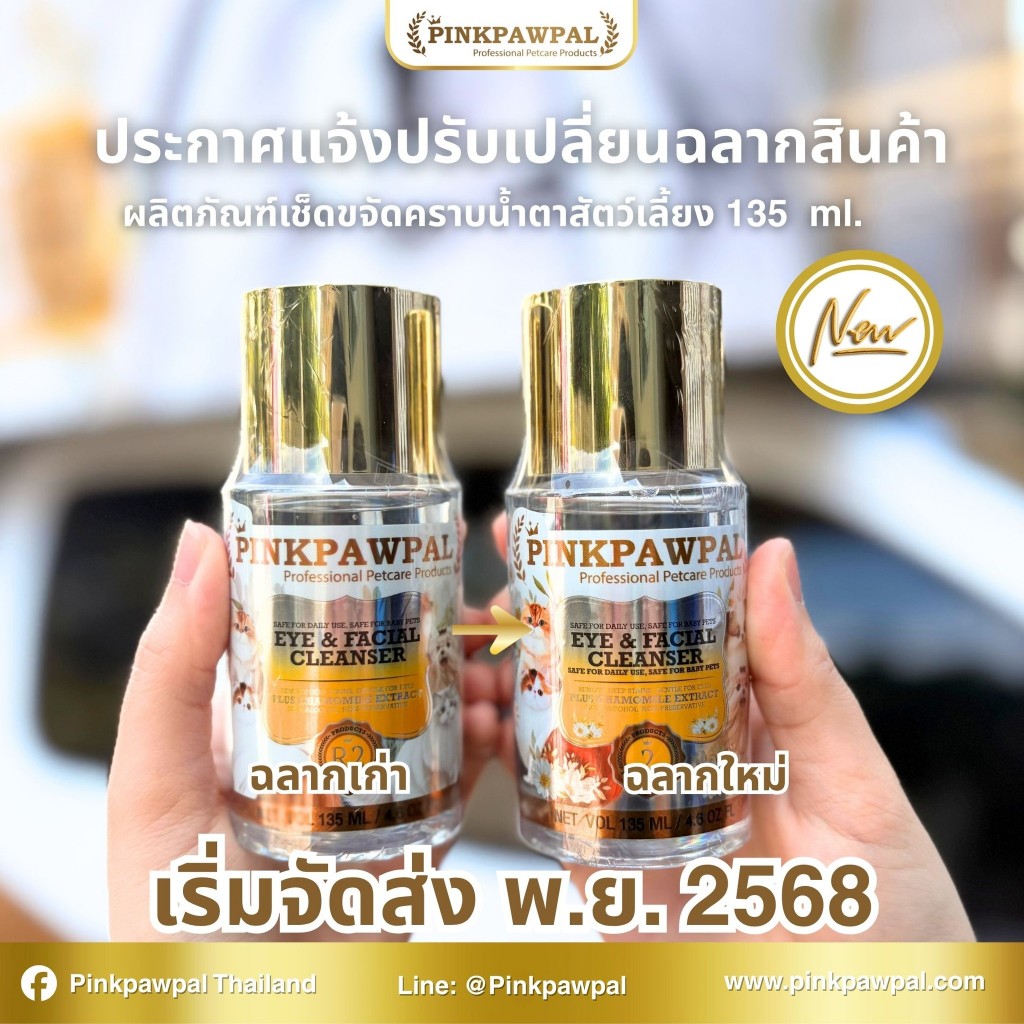 รูปภาพ 2