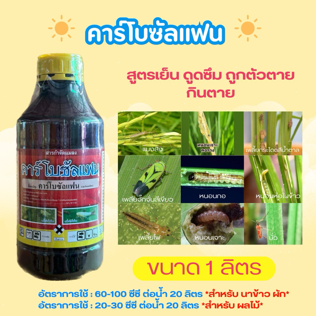 คาร์โบซัลแฟน 1ลิตร กำจัดหนอนเจาะคอรวง หนอนต่างๆ แมลงบั่ว แมงสิง เต่าทอง กำจัดเพลี้ยแป้ง เพลี้ยหอย หนอนกอ หนอนใบขาว