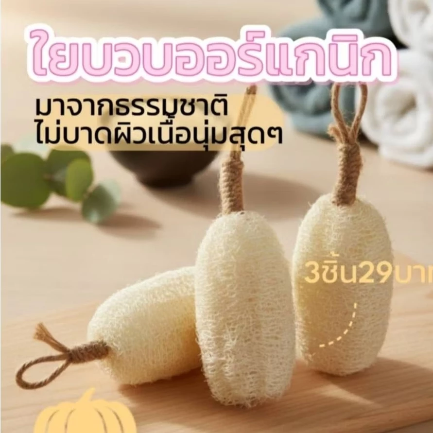 ใยบวบ ใยบวบขัดสปาผิวหน้า บวบขัดตัว ใยบวบจิ๋วงานฝีมือจากธรรมชาติแท้100%มีหลายขนาด