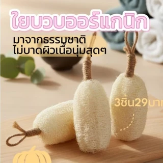 ใยบวบ ใยบวบขัดสปาผิวหน้า บวบขัดตัว ใยบวบจิ๋วงานฝีมือจากธรรมชาติแท้100%มีหลายขนาด