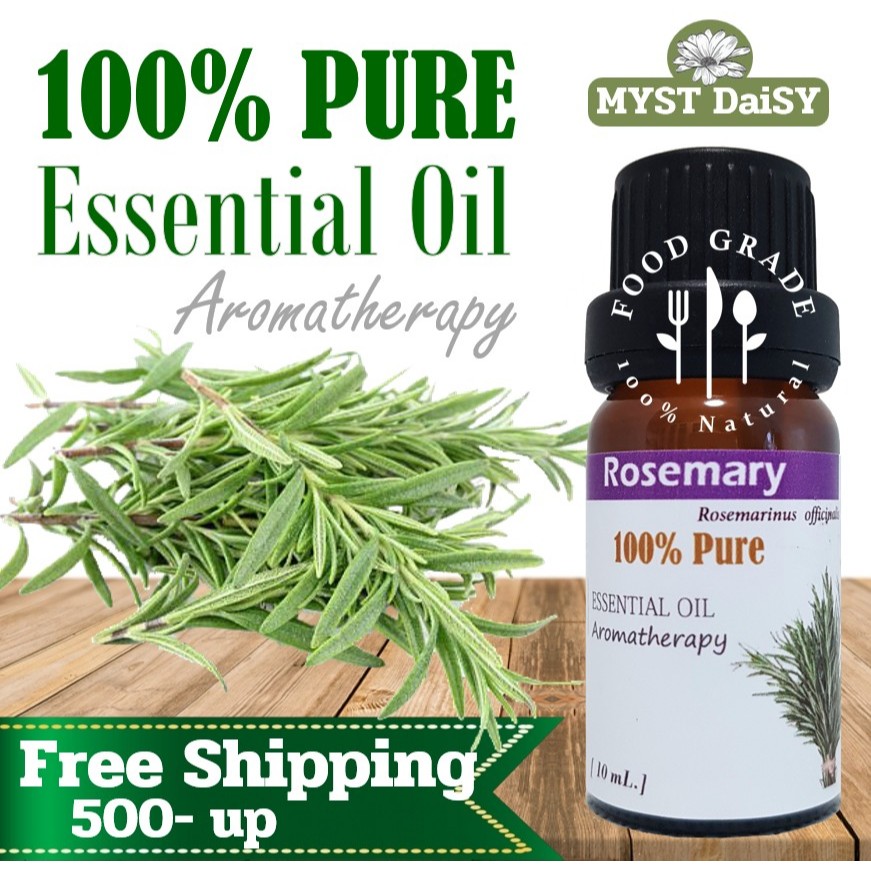 [10 mL.] Food Grade 100% Pure Essential Oil น้ำมันหอมระเหยโรสแมรี (Rosemary) บริสุทธิ์ 100% แบบรับประทานได้