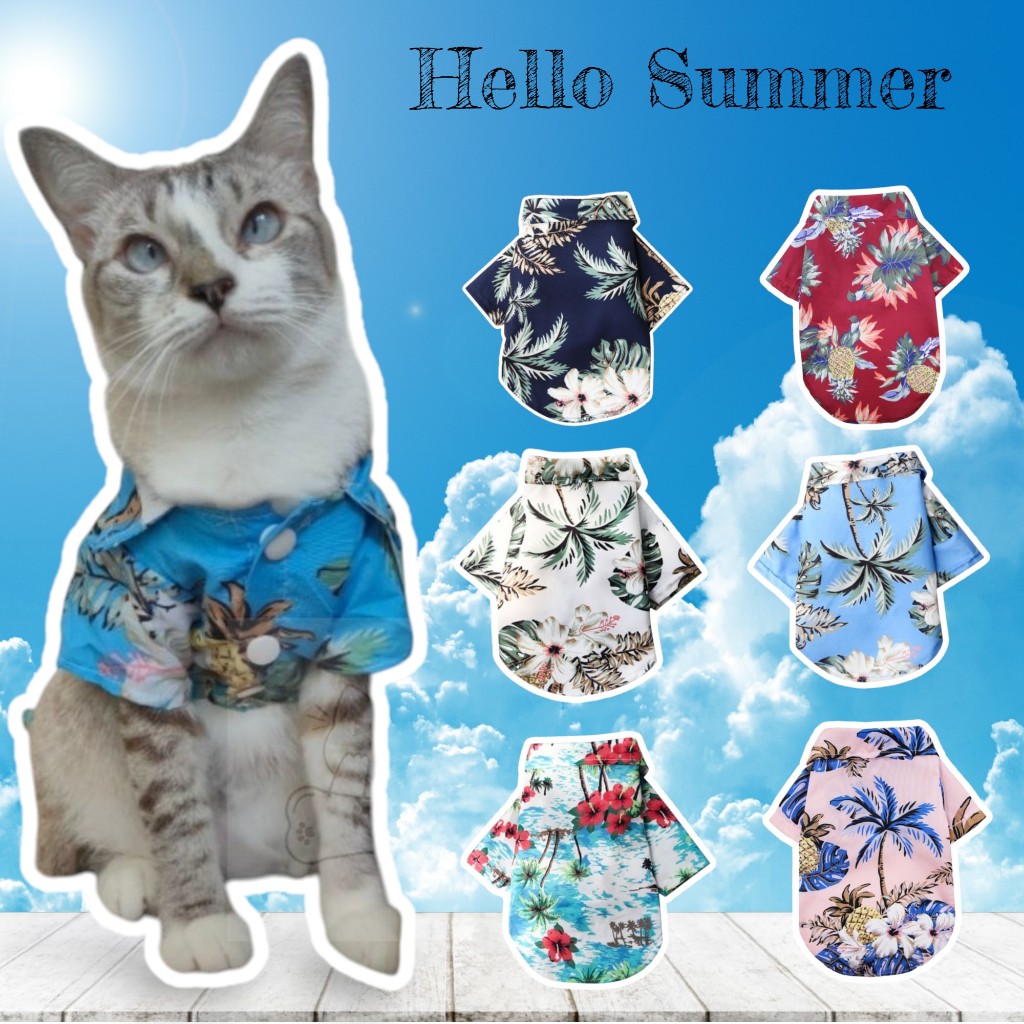 (B06)เสื้อสงกรานต์สุนัข - แมว (*พร้อมส่งจากไทย!!*) เสื้อฮาวาย ธีมSummer เสื้อเชิ๊ตสัตว์เลี้ยง สีสันสดใส สินค้าสวยตรงปก สินค้า