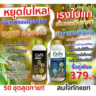 เวก้าหยุดใบไหล+เวก้าแมกนีเซียม ลดการหลุดร่วงของดอกและผล รักษ…