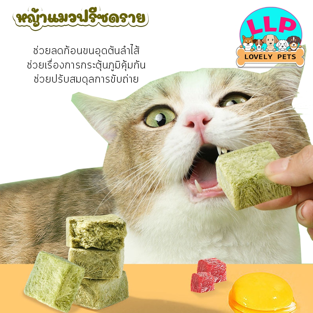 🌿หญ้าแมวฟรีซดราย ผสมอกไก่ ช่วยสำรอกก้อนขน ไม่ต้องเสียเวลาปลูก ขนมแมว กินง่าย