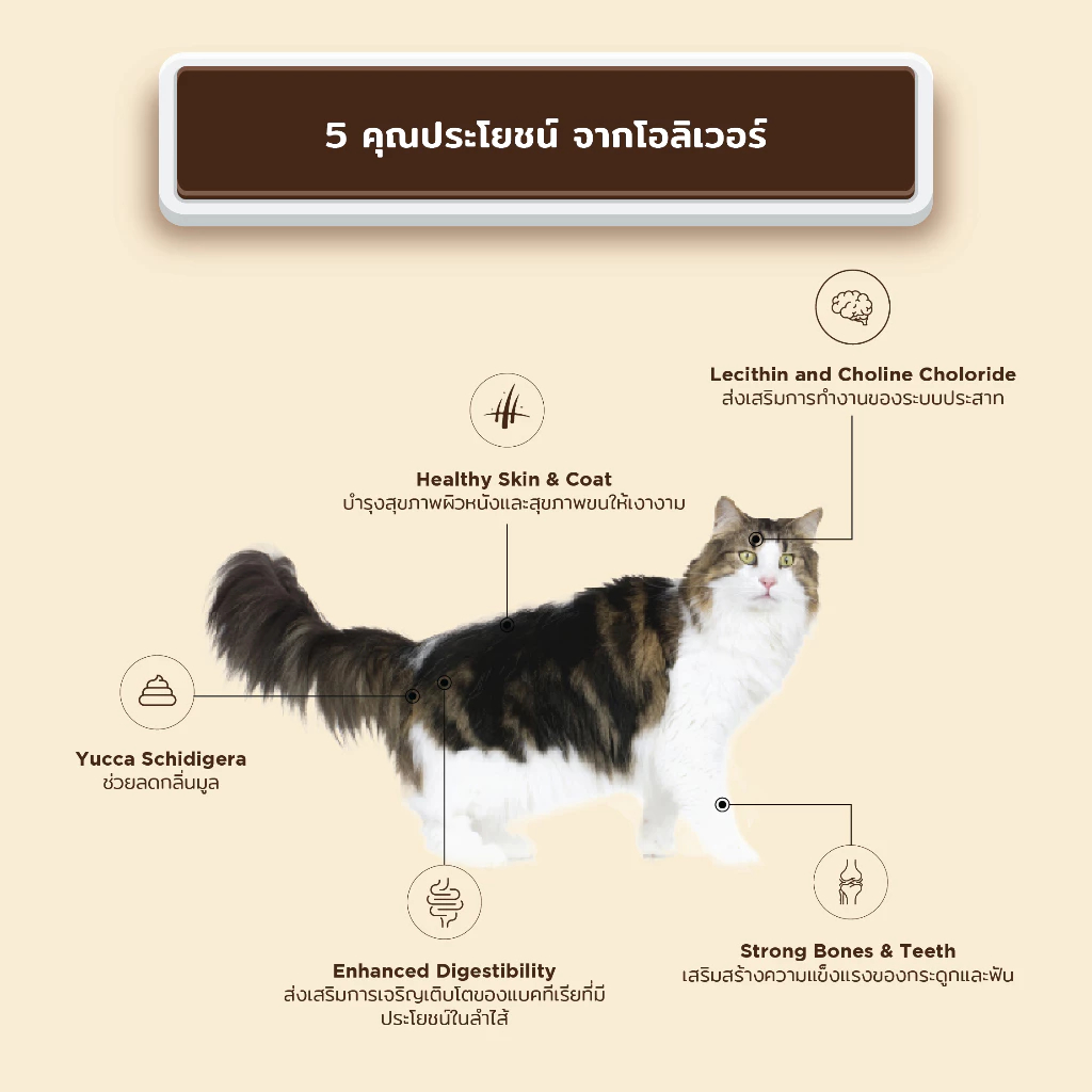 Oliver อาหารแมว โอลิเวอร์ รสแกะและข้าว 1 กิโลกรัม