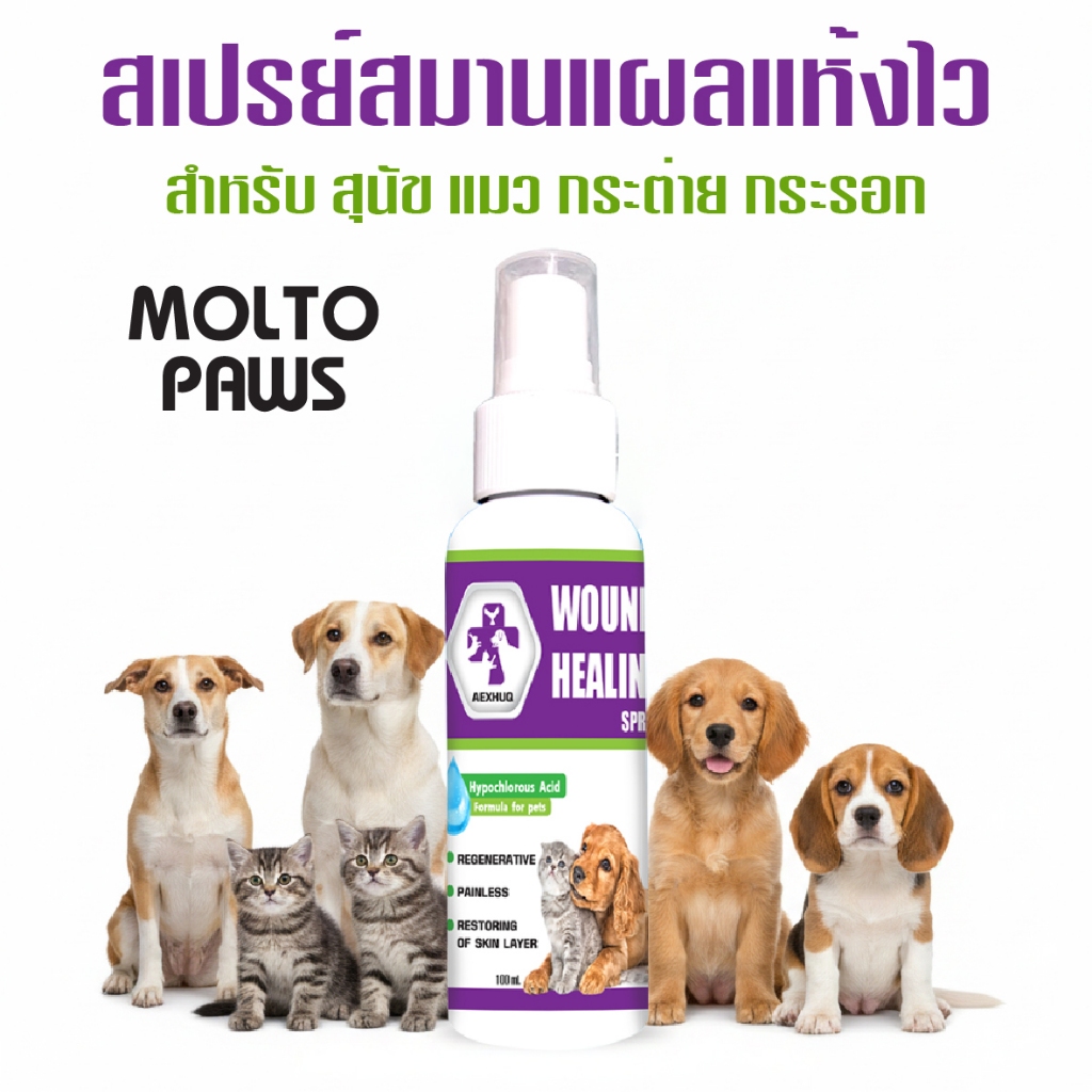 Aexhuq เห็นผลไวมาก ฉีด พ่น แผลแห้งไว สมานไว  เลียได้ เหมาะกับสุนัข แมว กระต่าย กระรอก นก