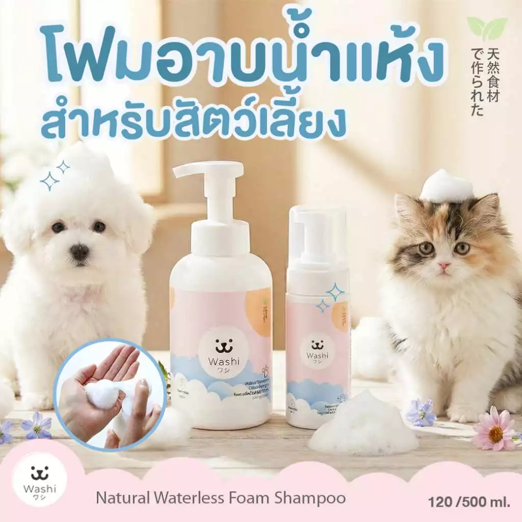 Washiワシ โฟมอาบน้ำแห้งสัตว์เลี้ยง สูตรอ่อนโยน ไม่ต้องล้างน้ำออก ขนสะอาดนุ่มลื่น แชมพูอาบน้ำแห้ง สุนัข แมว