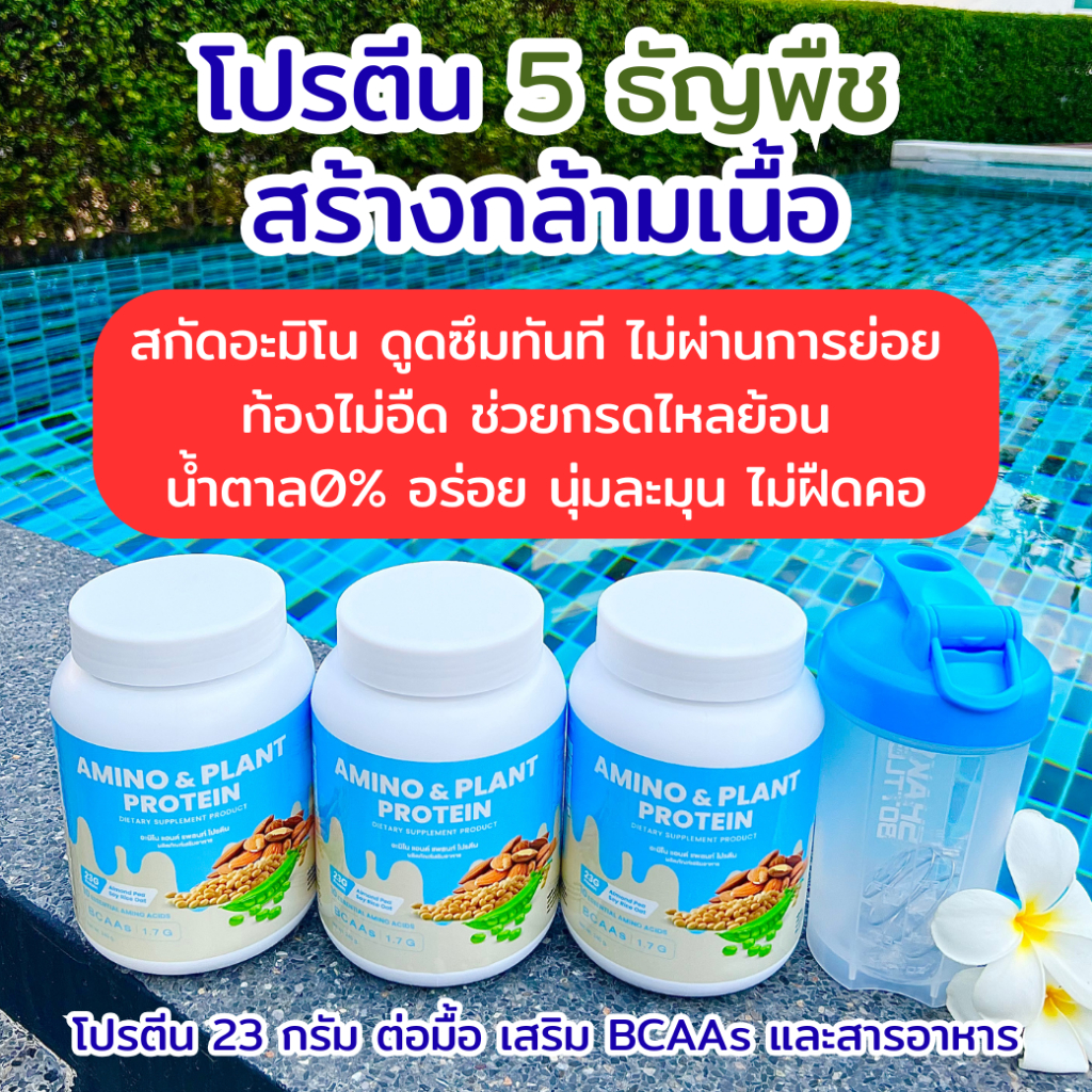 อะมิโน โปรตีน (มีผล LAB ยืนยัน) เสริม BCAA และซุปเปอร์ฟู้ด
