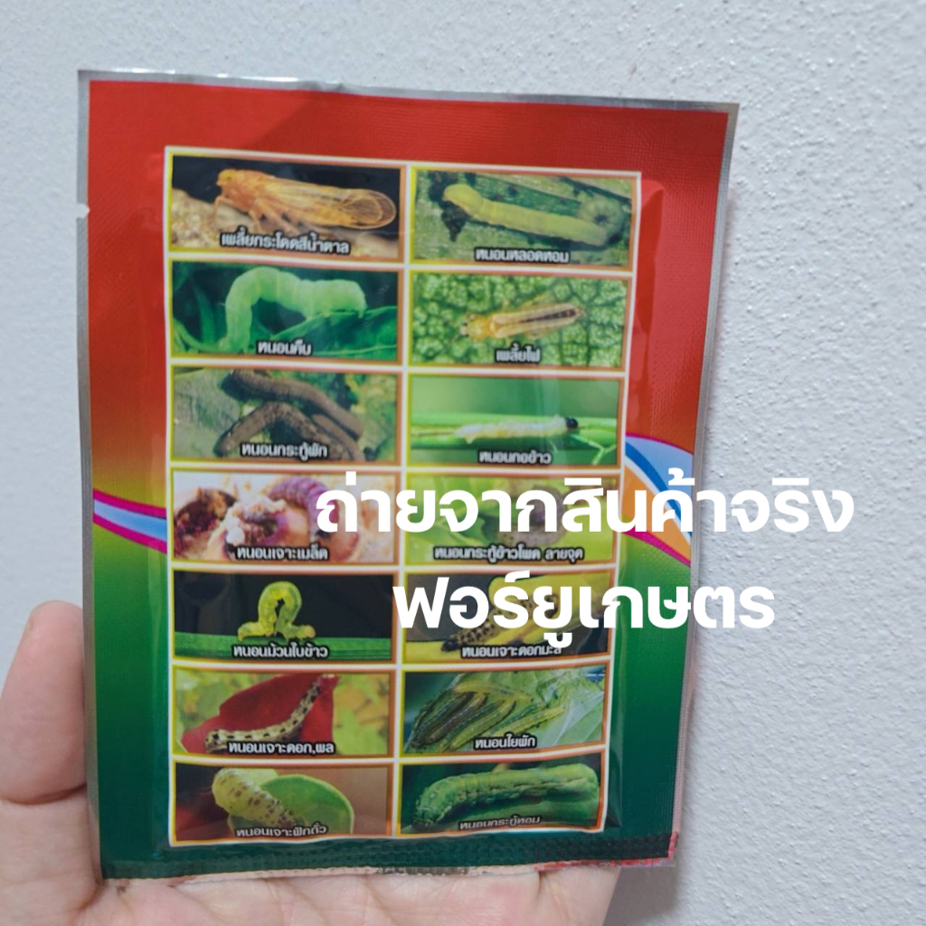 Thumbnail 8