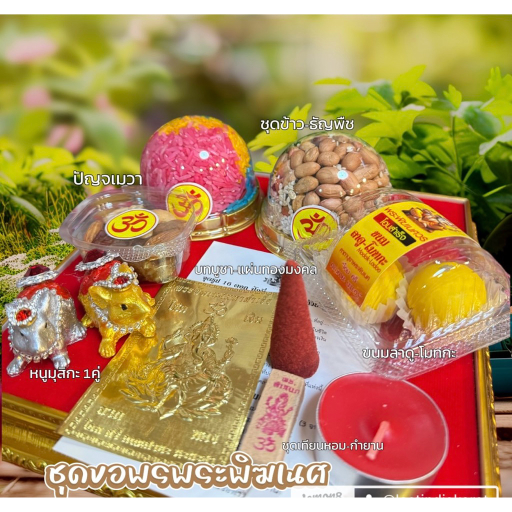 ชุดบูชาพระพิฆเนศ ถวายขอพร (เซ็ตเล็ก)