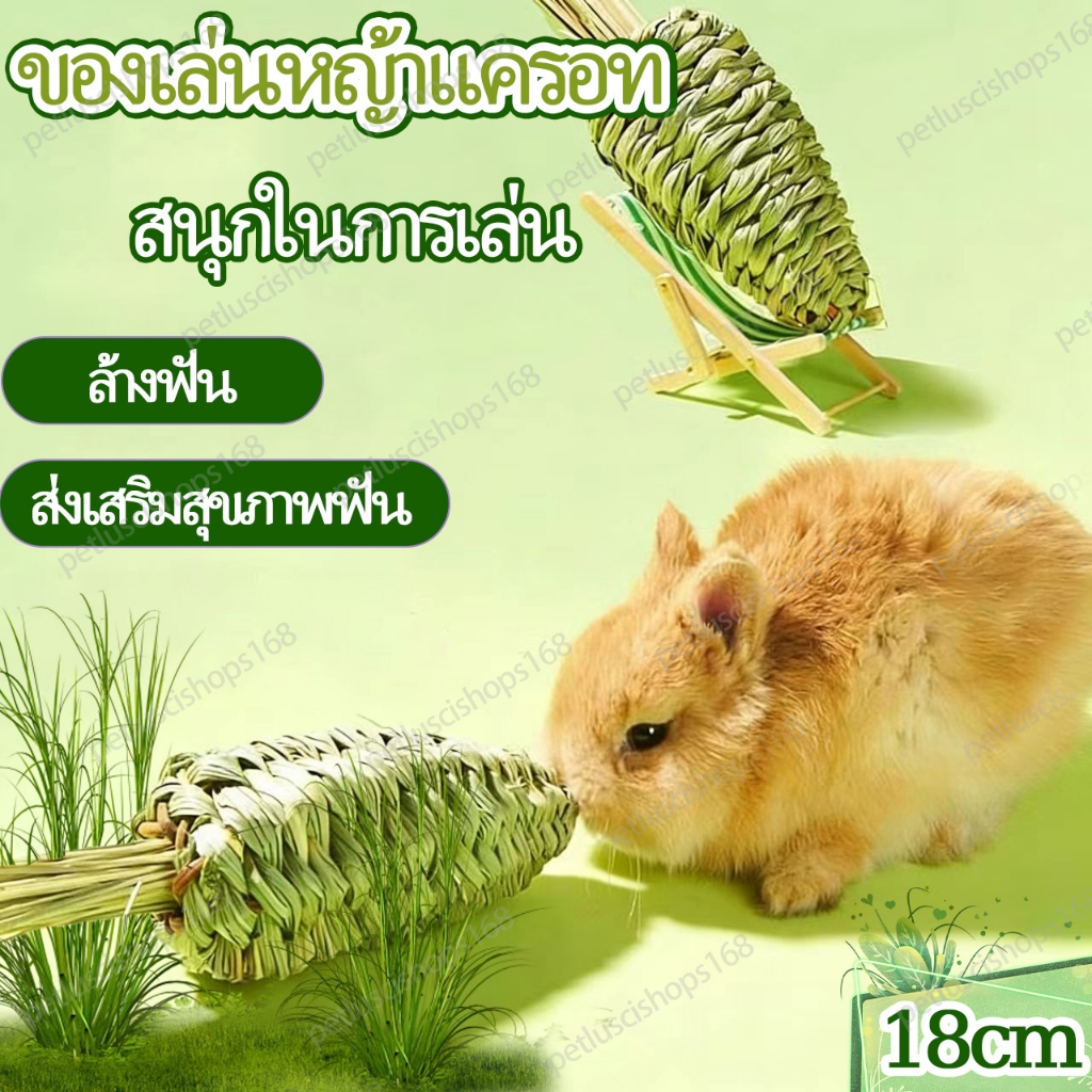 ขนมกระต่าย หญ้าลับฟันรูปแครอท ทําด้วยมือ ทอผ้า ขนมกระต่าย แกสบี้ แพรี่ด็อก ของเล่นสัตว์เลี้ยง