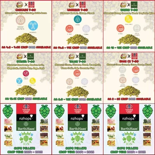 [2 Oz] ฮอปส์(Hops) ขนาดบรรจุ 2 Oz.(57 กรัม) - Crop Year 2024-2025 Amarillo,Citra,Mosaic,Cascade,Centennial,Cashmere, Man