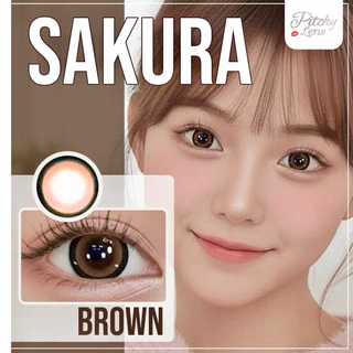 ส่งด่วนทุกวัน‼️คอนแทคเลนส์ Sakura Brown - Wink Lens / Pitchy Lens สีน้ำตาลขนาดตาโต