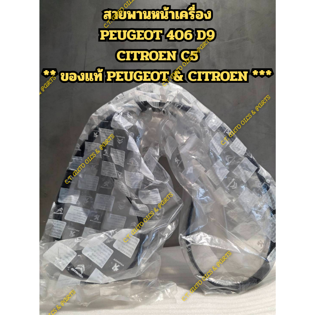 สายพานหน้าเครื่อง(ไดชาร์ท) Peugeot 406(D9) ** คุณภาพดี ยุโรป HATCHISON & SKF & COGEFA &MEYLE **