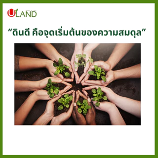 ULAND EM Ball Bio-3 ชุด 10 ลูก จุลินทรีย์ย่อยสลายอินทรียวัตถุในดิน เศษพืช ตอซังข้าว และน้ำธรรมชาติ