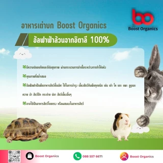 [เกรดพรีเมี่ยม]อัลฟาฟ่าอัดเม็ด100% จากอิตาลี่ (15 kg) เหมาะกับเต่าบกและสัตว์กินพืช สัตว์ฟันแทะ Alfalfa Pellet