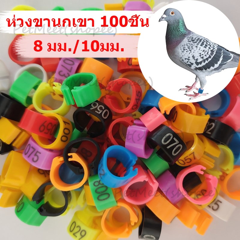 ถูก🎉100 ชิ้น แหวนขาขนาดเส้นผ่าศูนย์กลาง 8 มม./10 มม. ห่วงขานกเขา ห่วงขานก ห่วงขานกพิราบ คละสี