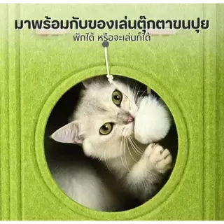 บ้านแมว คอนโดแมว บ้านมีรู 2ชั้น 3ชั้น คอนโดแมวทรงกระบอกดีไซน์ญี่ปุ่น แข็งแรงทนทาน สามารถปีนได้