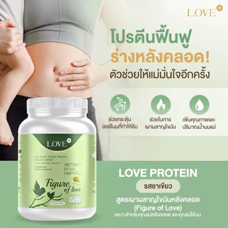 (รูปแบบกระปุก) Love Plant Based Protein เลิฟ โปรตีนพืช สูตรแพทย์ รสชาเขียว (Matcha)