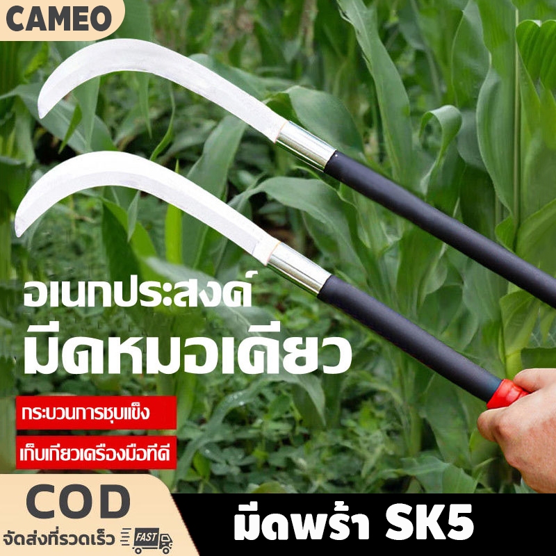 คมกริบ เหล็กแมงกานิส มีดพร้า SK5 มีดขอชัก มีดขอชักกล้วย ตัดแต่งใบกล้วย มีดตัดกล้วย มีดทำสวน มีดตัดแต่งกิ่งไม้ ด้ามยาว