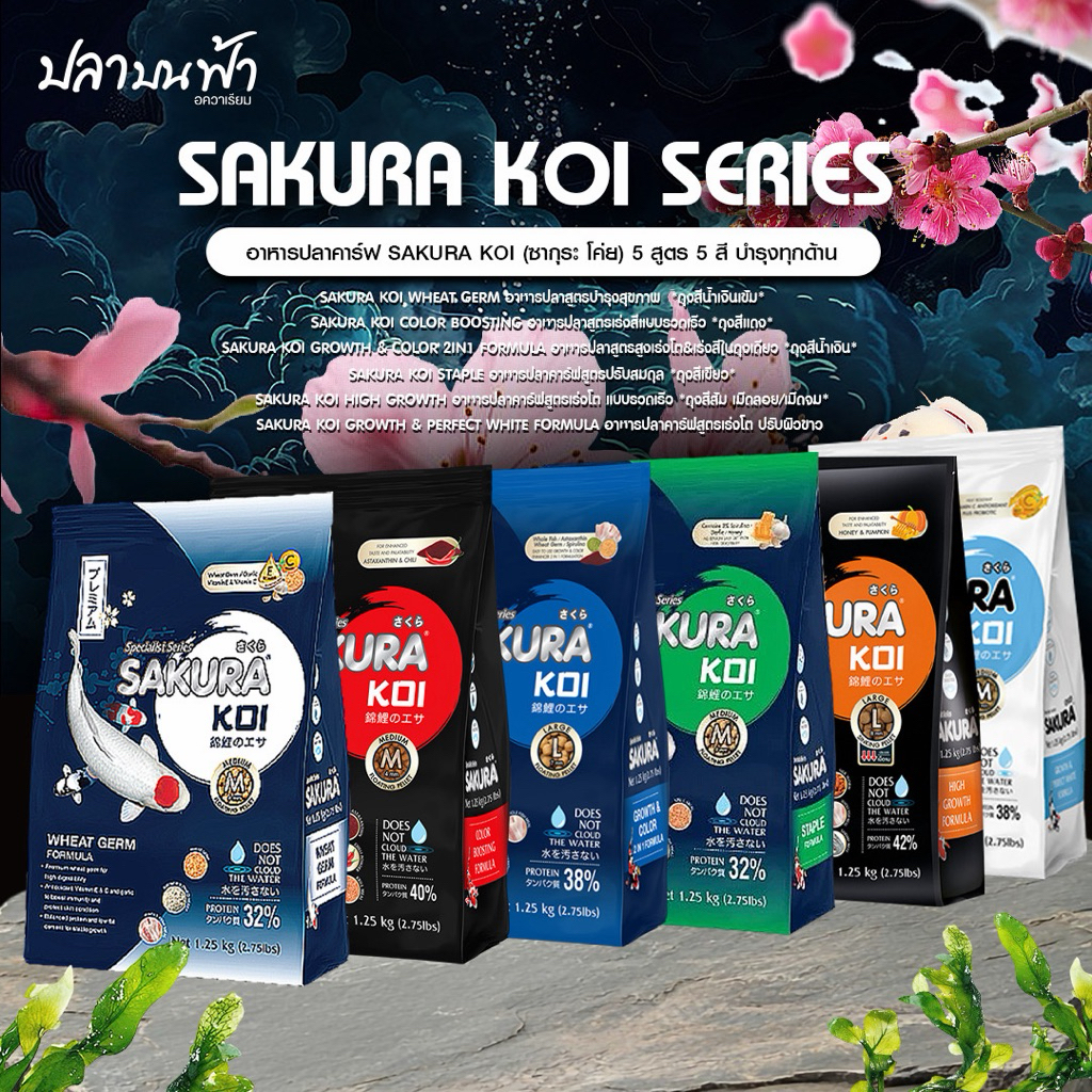 อาหารปลาคาร์ป Sakura Koi (ซากุระ โค่ย) ขนาด 1.25 กิโลกรัม สำหรับปลาคาร์ปโดยเฉพาะ สูตรเร่งโต เร่งสี เพิ่มโครงสร้าง
