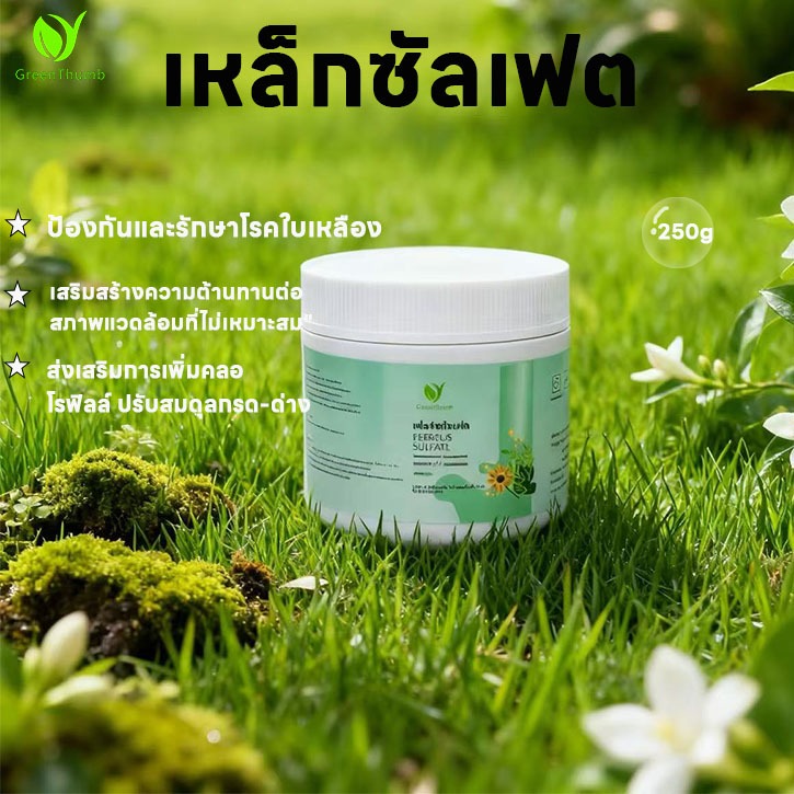 【GreenThumb】เหล็กซัลเฟต 250g -ปุ๋ย ป้องกันโรคเหลือง ปรับสมดุลความเป็นกรดของดิน เพิ่มปริมาณธาตุเหล็กในพืช