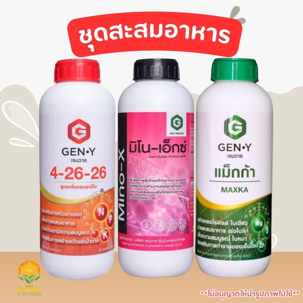 ชุดสะสมอาหาร เจนวาย 1ชุดมี3ขวด (เจนวาย4-26-26/มิโน-เอ็กซ์/เจนวาน แม็กก้า) ช่วยสะสมอาหาร เพิ่มการออกดอก ช่วยสร้างตาดอก