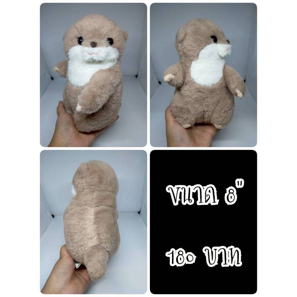 Kuttari Baby Otter#Baby Otter Hug Hug#นาก#Amufun#Amuse#ตุ๊กตาญี่ปุ่นมือสอง