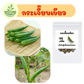 เมล็ดพันธุ์กระเจี๊ยบเขียว จำนวน 50 เมล็ด