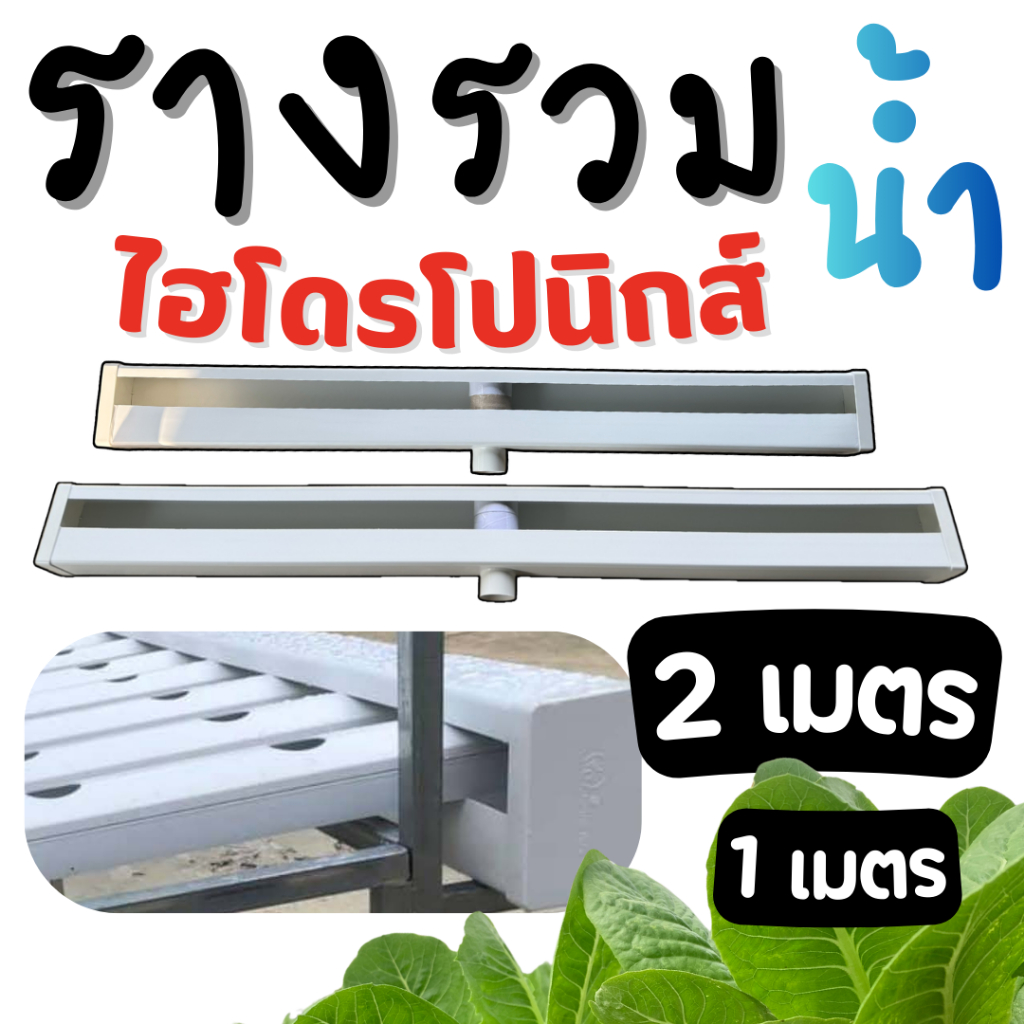 รางรวมน้ำไฮโดรโปนิกส์ ระบบน้ำวน แข็งแรง ทนแดด รางรวมน้ำปลูกผัก 1 / 1.2 / 1.4 / 1.6 / 1.8 / 2 เมตร