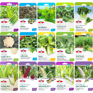 เมล็ดพันธุ์ผัก ศรแดง ซองละ 35 บาท มีโค้ดส่วนลด ร้านร่วมส่งฟร…