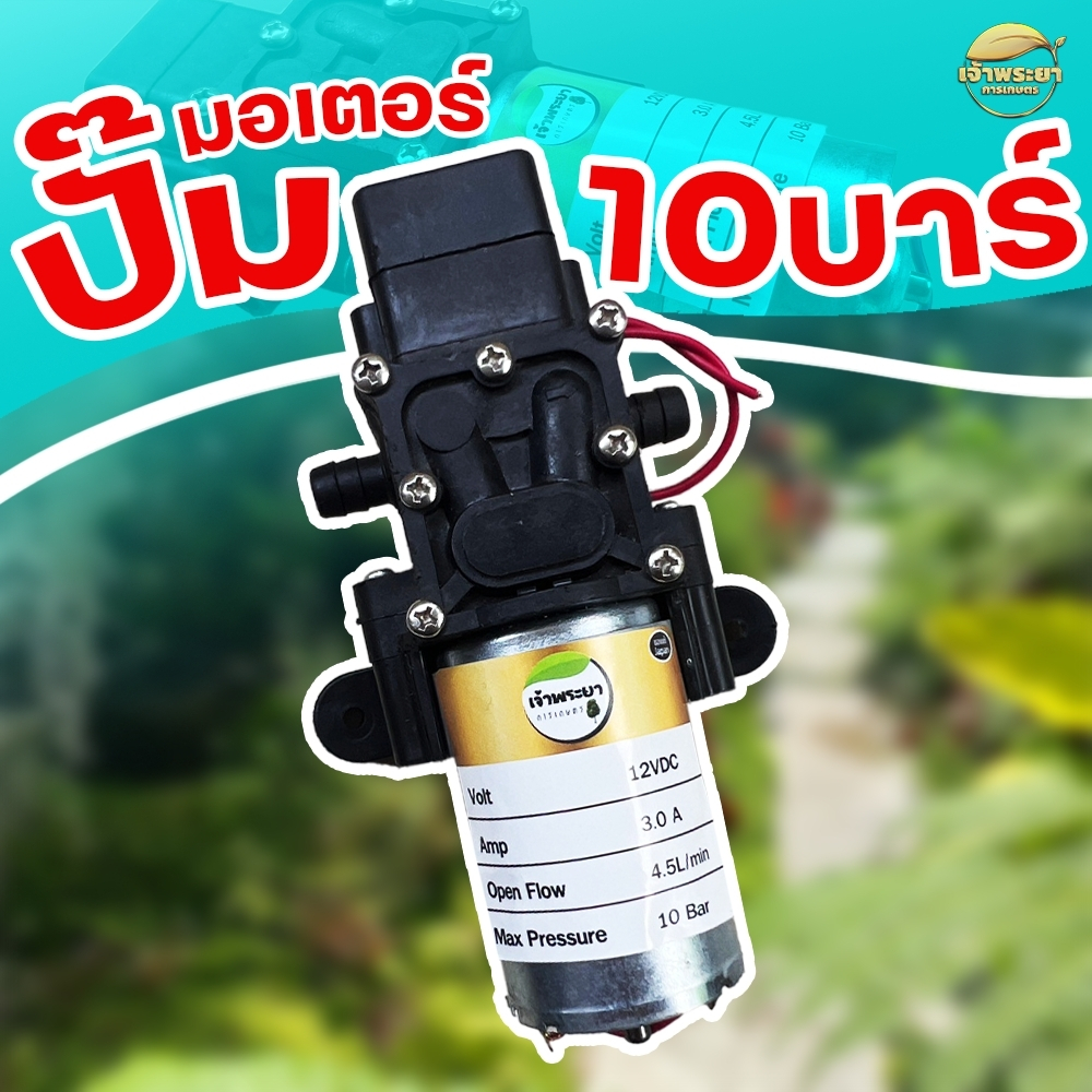 มอเตอร์ 10 บาร์ 2ขา แบบหางปลา และ แบบ เกลียว ขนาด 12 โวล ปั้มล้างรถ ปั้มพ่นหมอก ปั้มล้างรถ ระบบ ตัดออโต้