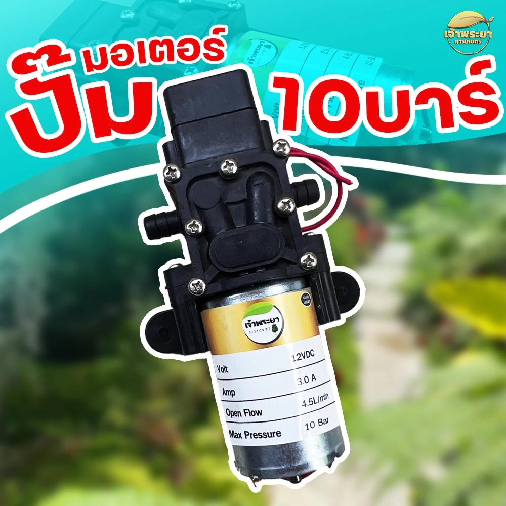 มอเตอร์ 10 บาร์ 2ขา แบบหางปลา และ แบบ เกลียว ขนาด 12 โวล ปั้มล้างรถ ปั้มพ่นหมอก ปั้มล้างรถ ระบบ ตัดออโต้