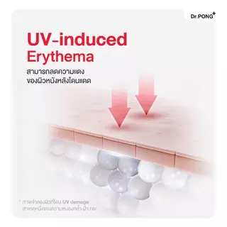 [ช้อปครบ รับฟรี] Dr.PONG MC1 PYCNOGENOL plus Red orange extract วิตามินรักษาฝ้า ลดการทำลายผิวจากแสง UV พิคโนจีนอล