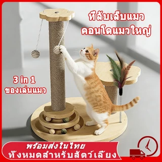 🐾 5in1 ที่ลับเล็บแมว คอนโดแมวใหญ่ ของเล่นแมว วัสดุเส้นแปรง ฝนเล็บแมว ที่ฝนเล็บแมว ลับเล็บแมว แผ่นลับเล็บแมว แมวเล็บ