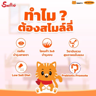 Smillie สไมล์ลี่ อาหารแมว รสแซลมอน ขนาด 20 KG