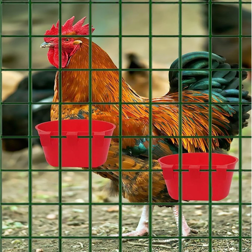 COZII ถ้วยน้ำไก่-สัตว์ปีก นก ไก่ชน เกาะสุ่ม ติดตั้งง่าย thumbnail 6
