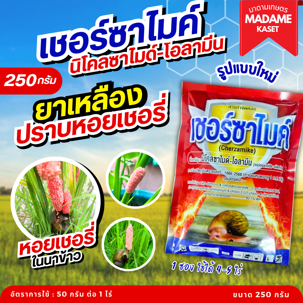 (แบบใหม่/ทะเบียนใหม่) เชอร์ซาไมค์ ยาเหลืองปราบหอยเชอรี่ในนาข้าว 250 กรัม (นิโคลซาไมด์-โอลามีน) ชนิดผงละเอียด ฉีด หยด พ่น