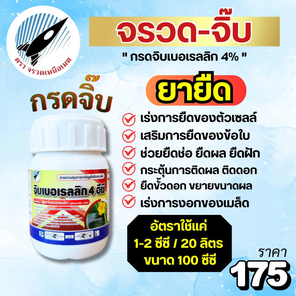 จรวด-จิ๊บ (กรดจิบเบอเรลลิก 4%) * ยายืด * เร่งการยืดของตัวเซลล์ ช่วยยืดช่อ ยืดผล ยืดฝัก ยืดขั้วดอก กระตุ้นการติดผล ติดดอก