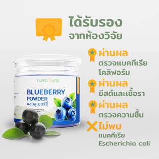 ผงบลูเบอร์รี่ มีอย. แท้ ไม่ผสมแป้งและน้ำตาล แบรนด์ไร่พระจันทร์ (Blueberry Powder ผงเบอร์รี่ ผงบูเบอรี่ บลูเบอรีผง )
