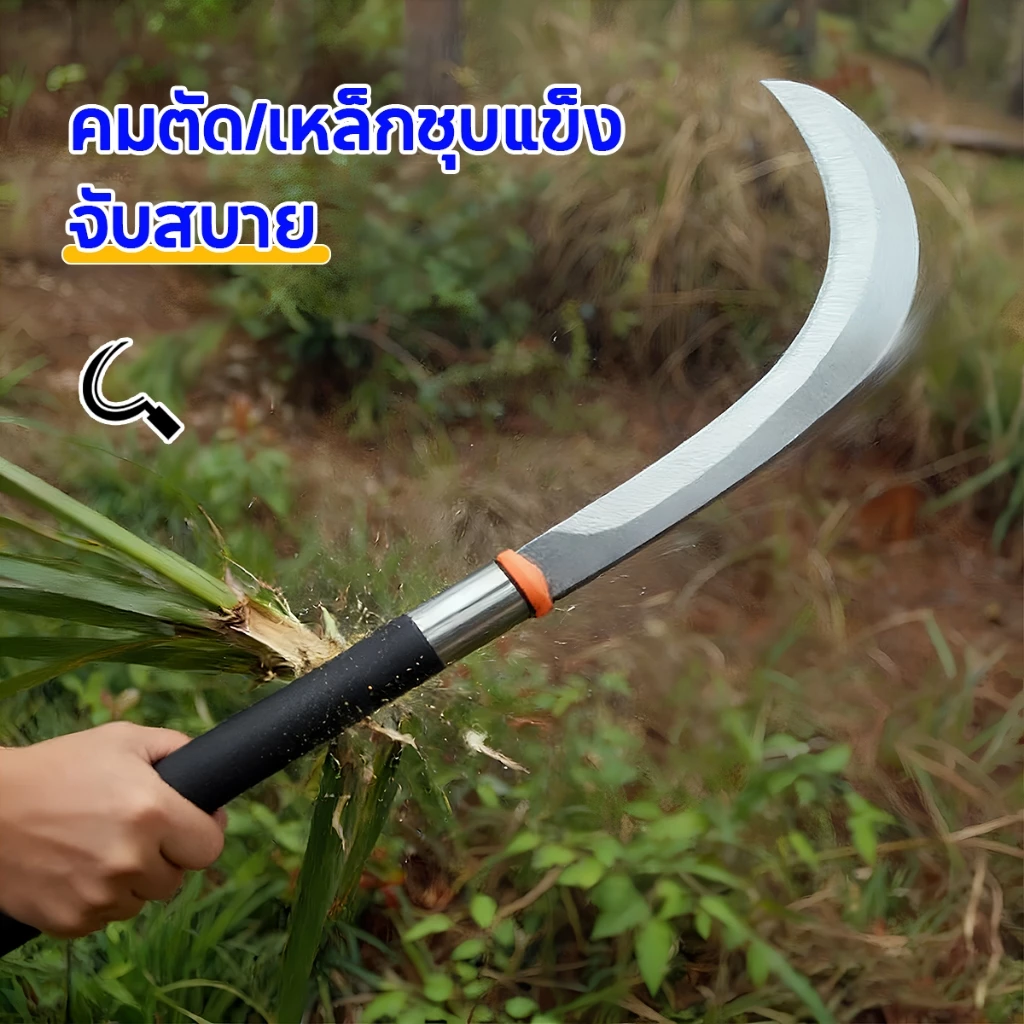 SK5 คมกริบ เหล็กแมงกานิส มีดพร้า มีดขอชัก มีดขอชักกล้วย ตัดแต่งใบกล้วย มีดตัดกล้วย มีดทำสวน มีดตัดแต่งกิ่งไม้ ด้ามยาว thumbnail 7