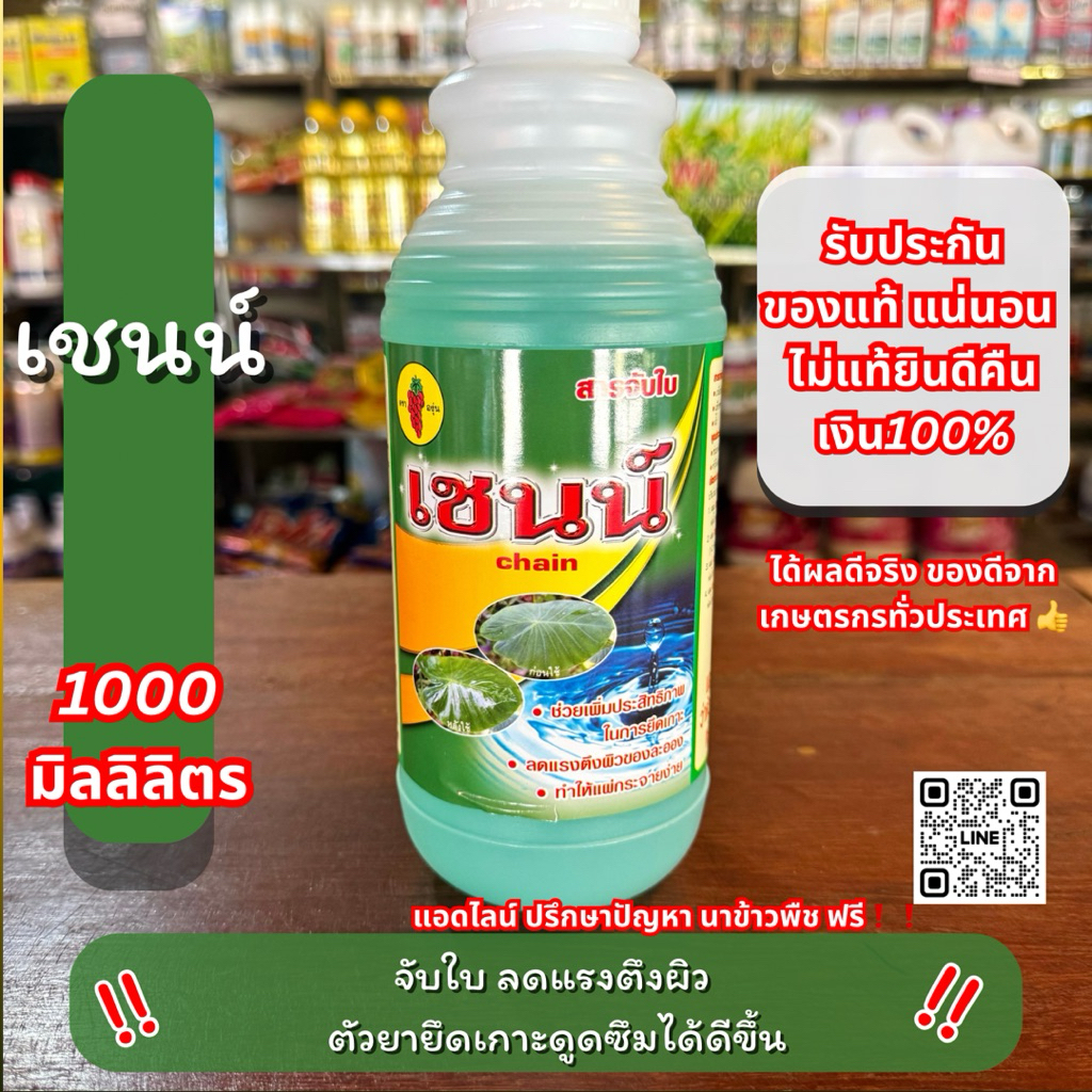 จับใบ เชนน์ ลดแรงตึงผิว เพิ่มการยึดเกาะของยา 1 ลิตร