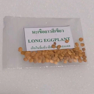 FOZU 🌿เมล็ดมะเขือยาวสีเขียว 300เมล็ด ปลูกง่าย ราคาไม่แพง