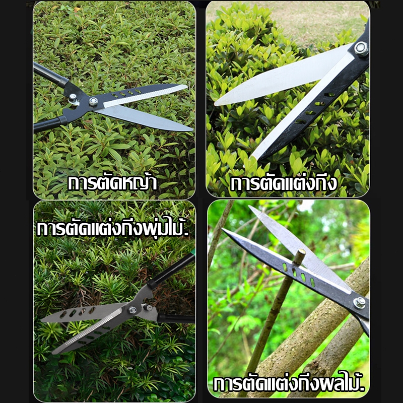 IN กรรไกรตัดหญ้า กรรไกรตัดแต่งพุ่มไม้ กรรไกรตัดกิ่งไม้ ตัดกิ่งไม้ ตกแต่งสวน - รูปที่ 2